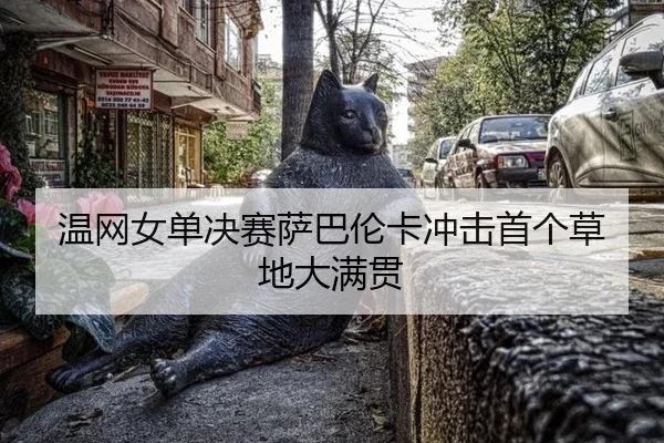 温网女单决赛萨巴伦卡冲击首个草地大满贯