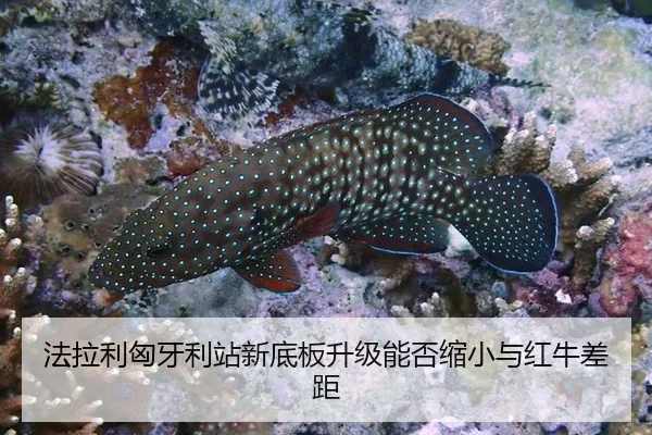 法拉利匈牙利站新底板升级能否缩小与红牛差距
